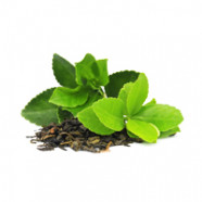 Gunpowder Green Tea