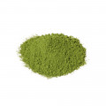 Holy Basil